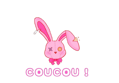 COUCOU! LESLAPINS